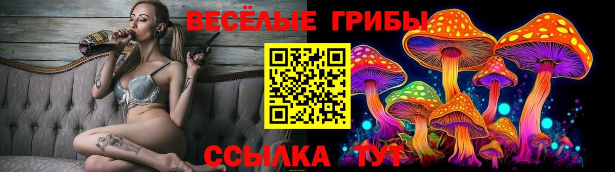 Псилоцибиновые грибы Magic Shrooms  Вход с VPN  Псилоцибиновые грибы GOLDEN TEACHER  Заринск 